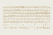 Tensura, a Serif Font by LuhopCreative (Thumbnail 8 of 21)