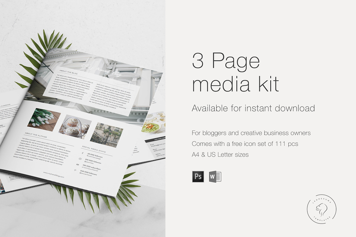 3 Page Press Kit Template, a Resume Template by Leo Resume (Photo 6 of 7)