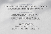 Maglite - Modern Ligature Serif, a Serif Font by Sarid Ezra (Thumbnail 13 of 13)
