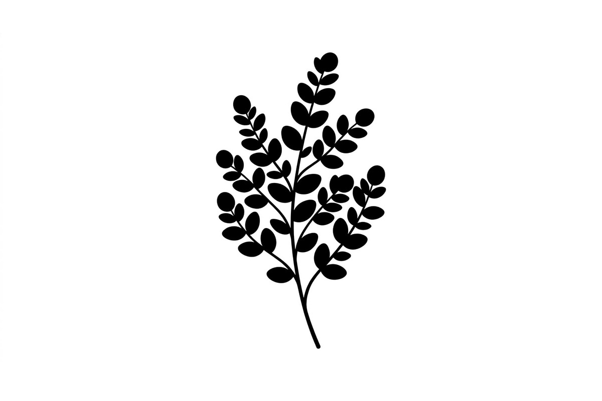 Eucalyptus Leaf Branch Collection, an Object Graphic by Designer_Momina (Photo 3 of 3)