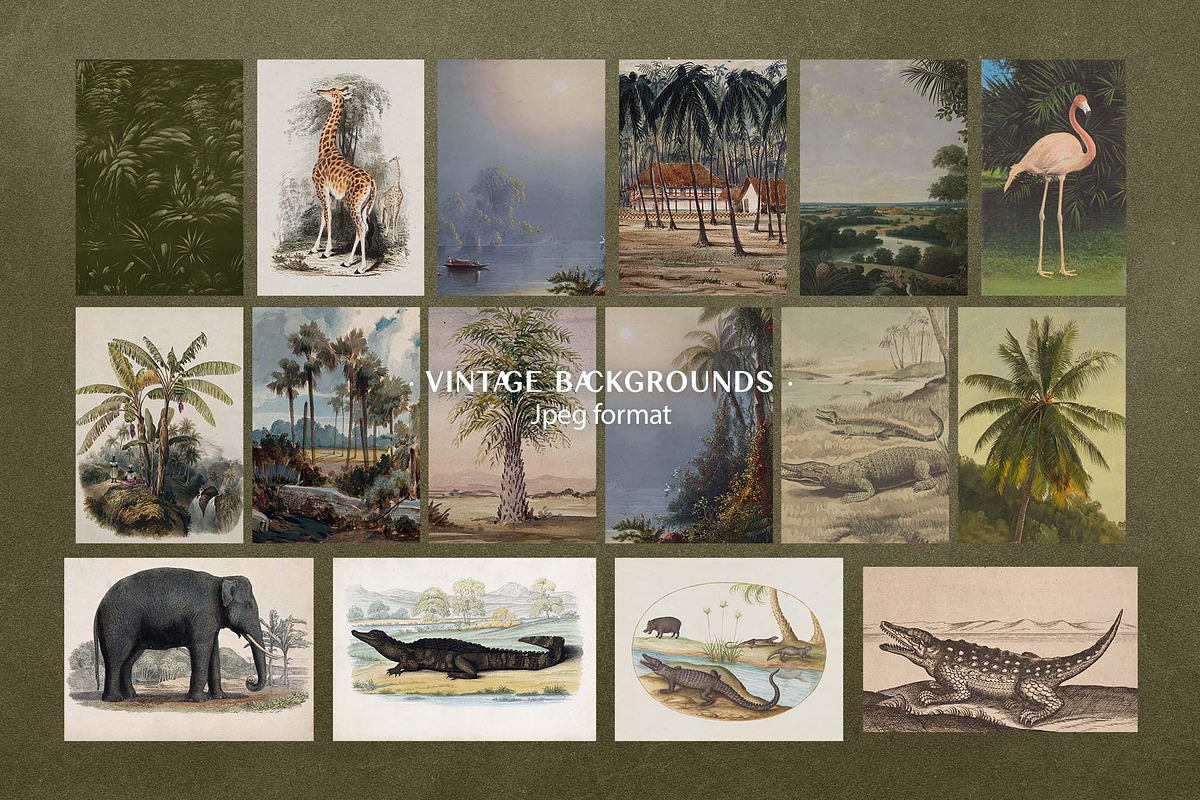 Exotic Archive collection, an Object Graphic by DigARTbyHavroshka (Photo 6 of 14)