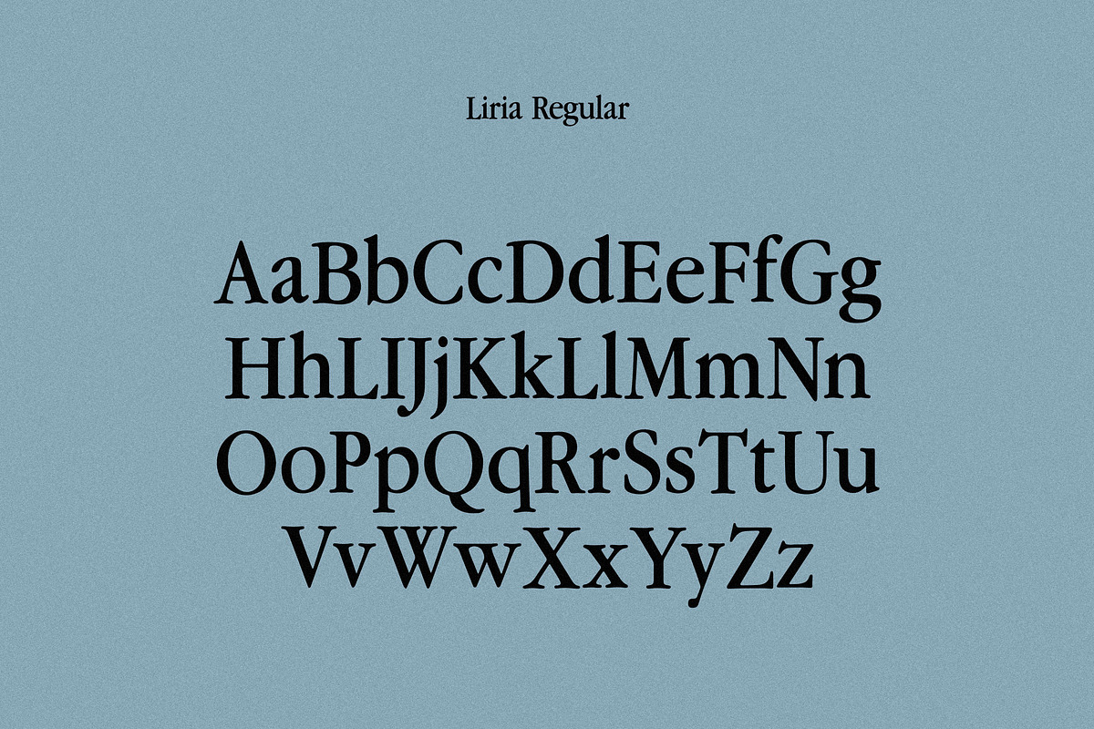 Liria Serif Typeface, a Serif Font by Nomad Visuals (Photo 9 of 12)