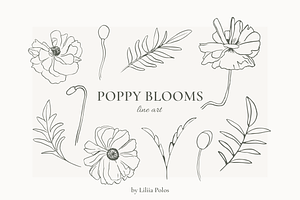 Poppy Blooms Watercolor & Line Art