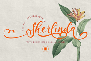 Sherlinda A Stylish Script Font