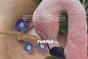 Healing. Collage Pack, an Object Graphic by Purple (Thumbnail 2 of 10)