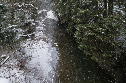Winter scenery with snowfall and mountain stream running through, a Nature Photo by YuriyB