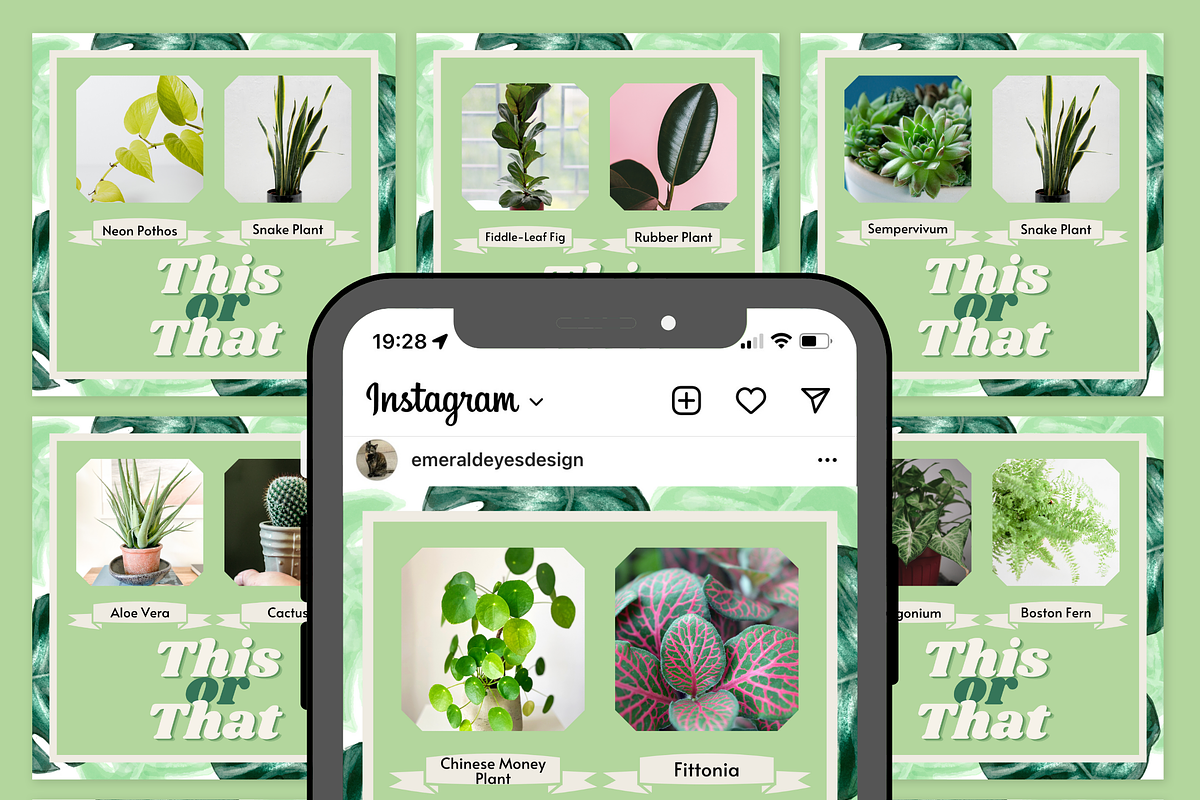 210 Canva Plant Instagram Bundle, a Social Media Template by Emerald Eyes Design (Photo 7 of 13)