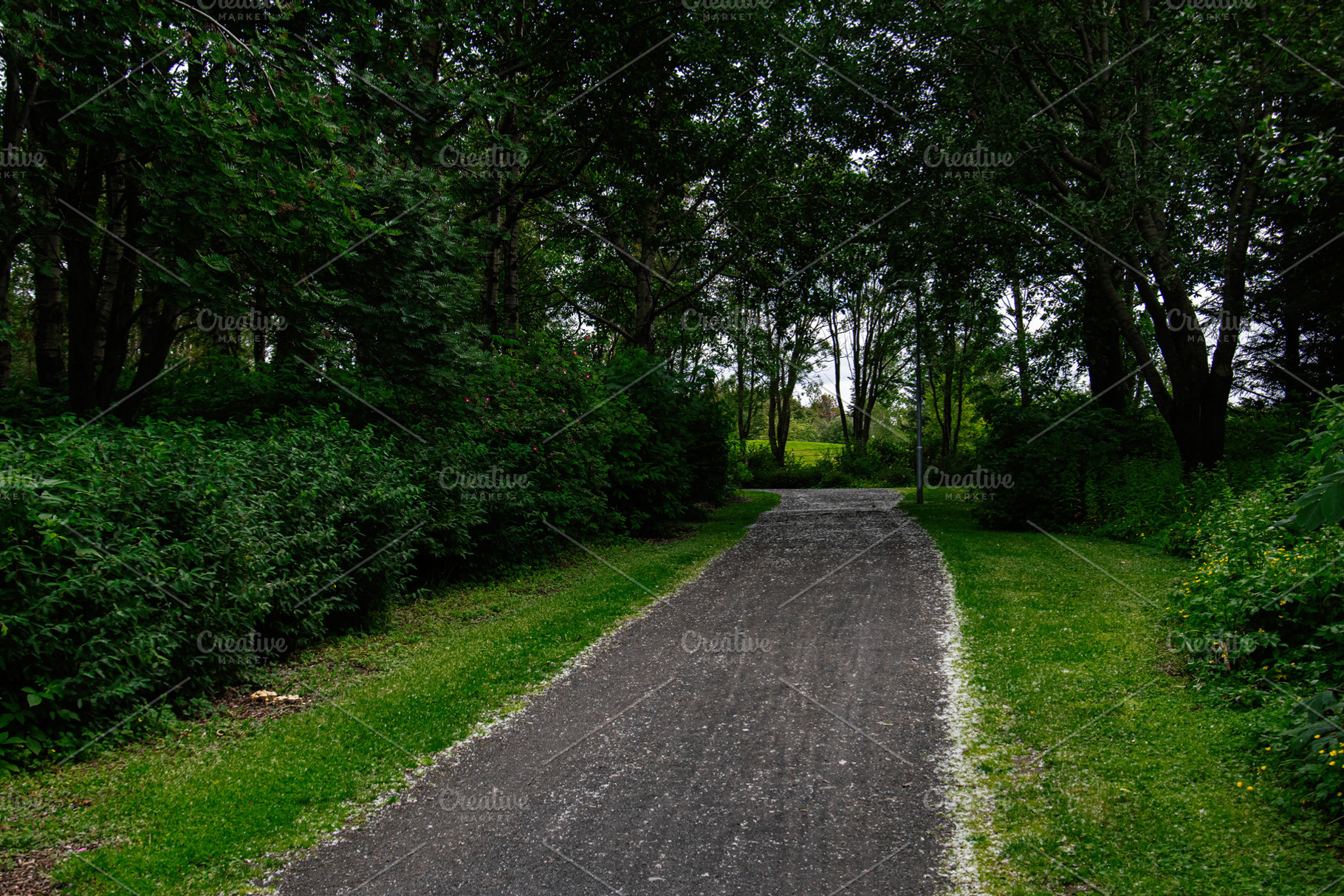 Peaceful walking path surrounded by nature in Reykjavik, Iceland, a Photo by AS photostudio