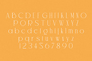 Ocean Dream - Chic & Elegant Serif, a Serif Font by Schrifted Type (Thumbnail 7 of 8)