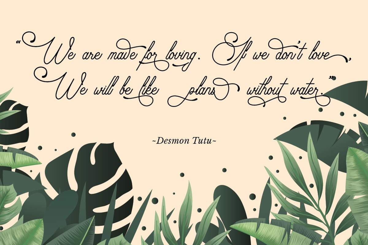 Audrena - Beautiful Monoline Font, a Script Font by PutraCetol Studio (Photo 4 of 11)