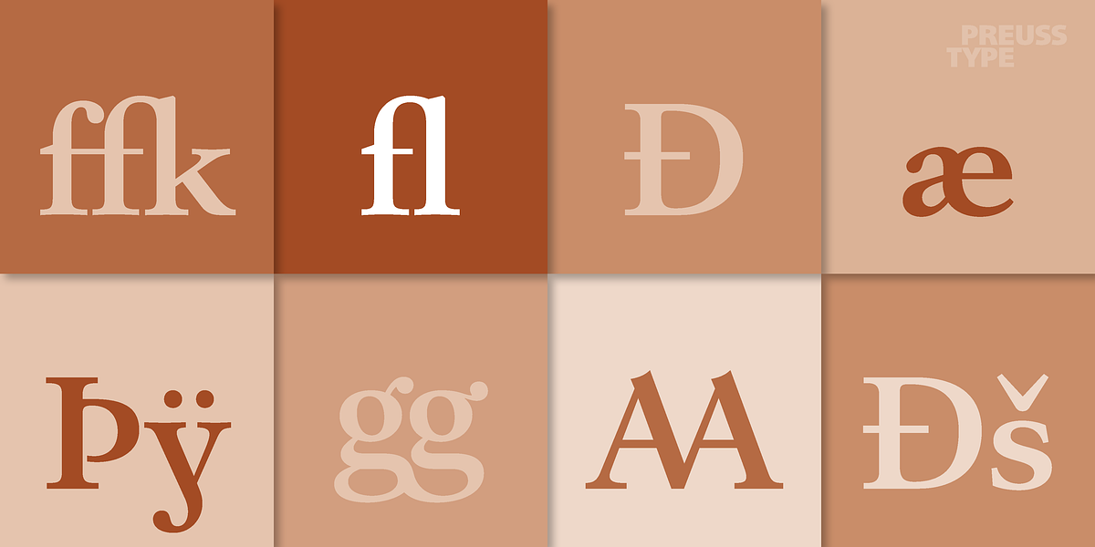 Barocco PRO, a Serif Font by preussTYPE (Photo 11 of 12)