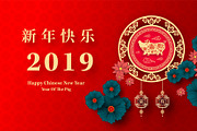 set of 2019 Chinese New Year card, a Card Template by Max vector (Thumbnail 4 of 16)