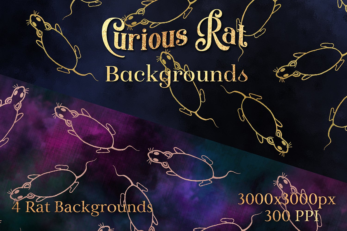 Curious Rat Backgrounds - 4 Images, a Background Graphic by Sapphire X Designs (Photo 1 of 2)