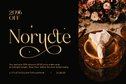 Qanducia Serif, a Serif Font by Typia Nesia (Thumbnail 5 of 10)