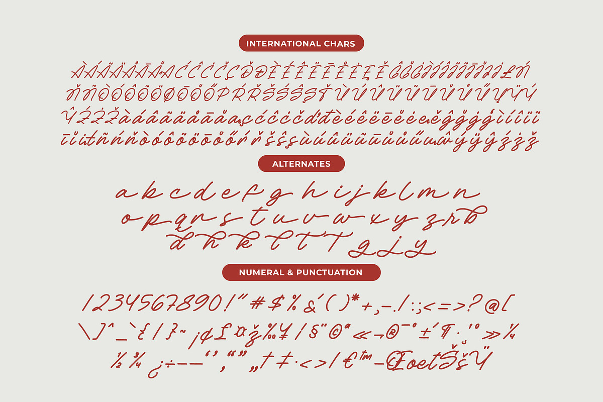 Betany Salena Monoline Brush Font, a Script Font by Letterena Studios Script (Photo 13 of 15)