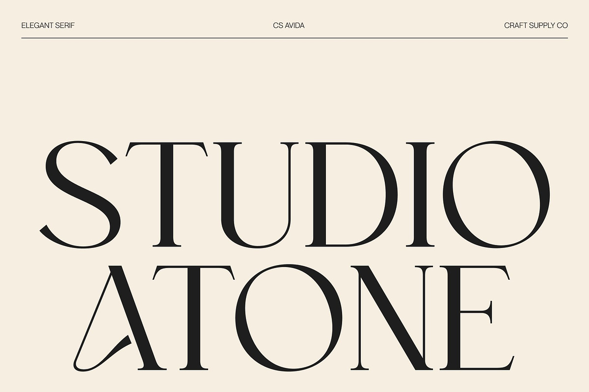 CS Avida – Elegant Serif Font, a Serif Font by Craft Supply Co. (Photo 2 of 8)