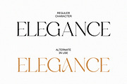 Aniekyal - Luxury Serif Font, a Serif Font by Qweera Studio (Thumbnail 9 of 12)