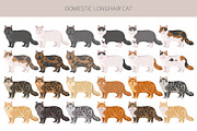 Domestic longhair cat, an Animal Illustration by pet design shop (Thumbnail 2 of 6)