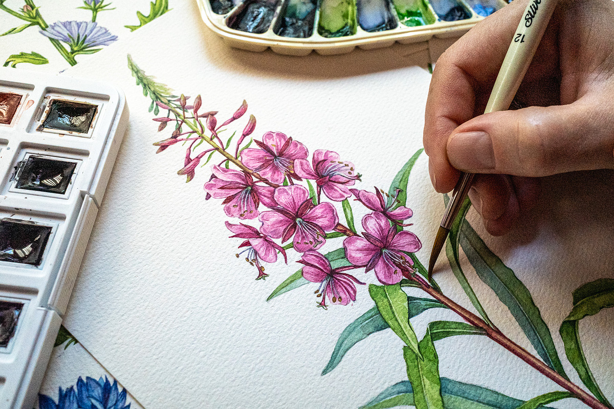 Herbal Apothecary Brand Kit, a Healthcare Illustration by AnitaPol (Photo 2 of 18)