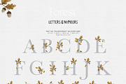 Forest animals. Alphabet & Patterns, an Animal Illustration by annartdreams (Thumbnail 7 of 11)