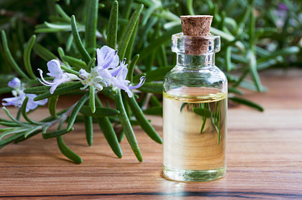 A bottle of rosemary essential oil w featuring rosemary essential oil, a Health & Medical Photo by Madeleine Steinbach