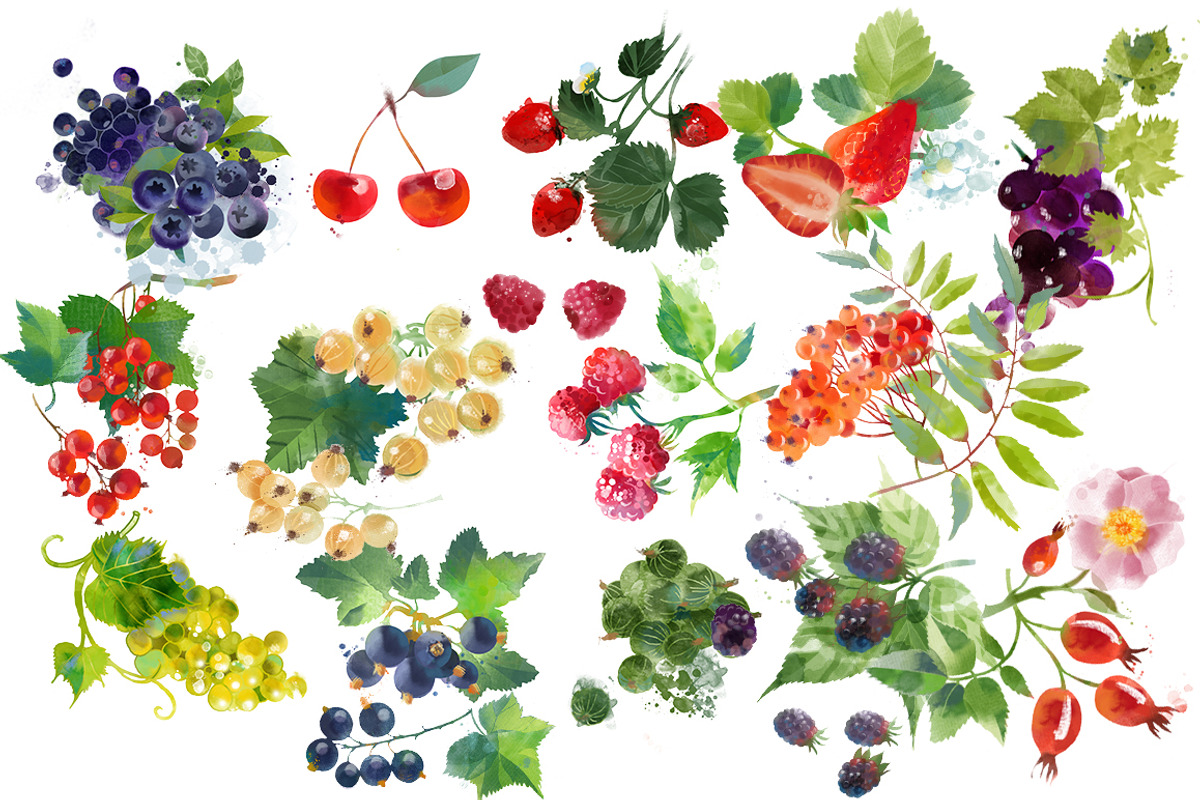 Watercolor berries, an Illustration by Tatiana Davidova (Photo 2 of 2)
