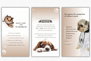 Pet Shop Social Media Templates, a Social Media Template by Talipic Designs (Thumbnail 5 of 8)