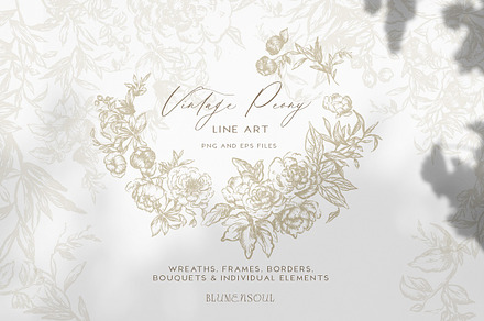 Vintage Peony - Flowers Line Art, a Decorative Illustration by BlumenSoul