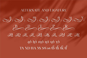 Daisya || Modern Serif Font, a Serif Font by Ermedia Studio (Thumbnail 10 of 11)