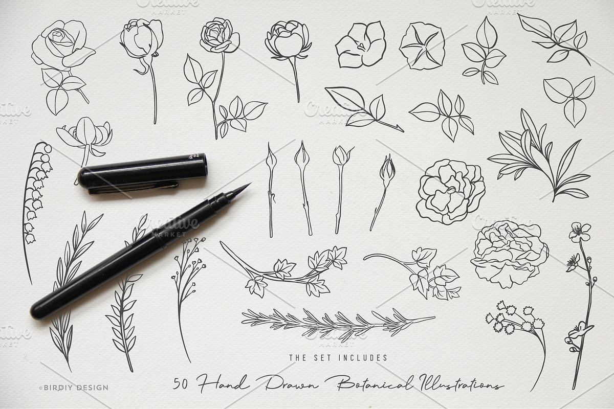 Botanical Illustrations & Logo Kit, an Illustration by BirDIY Design (Photo 2 of 10)