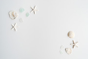 Summer Photo Bundle - Seashells, a Nature Photo by GT Studio (Thumbnail 11 of 11)