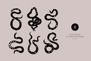 Modern snakes & Floral set., an Object Graphic by Alona Savchuk (Thumbnail 6 of 14)