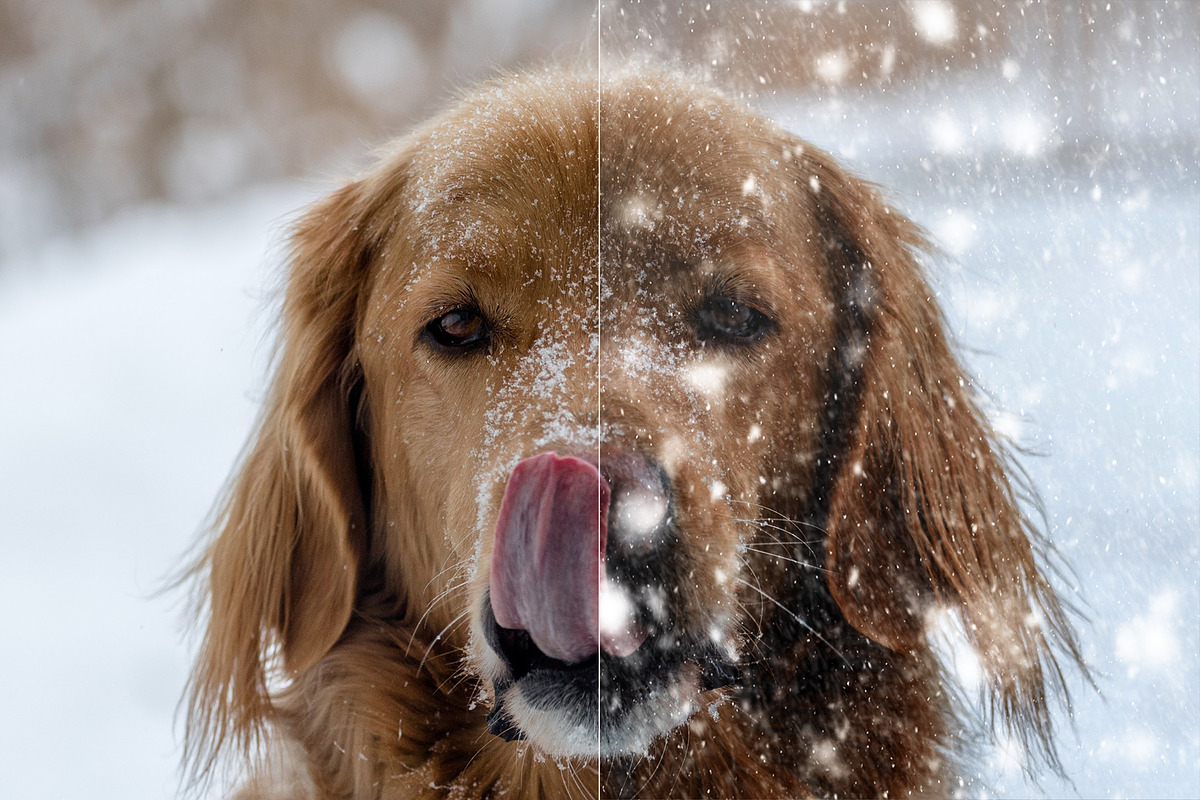Snow Overlay Textures, a Texture Graphic by Aurora Graphics (Photo 4 of 7)