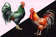 Roosters Clipart, an Animal Illustration by LekoArt (Thumbnail 4 of 10)
