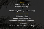 Summer Delight Font, a Script Font by R4DS (Thumbnail 2 of 9)