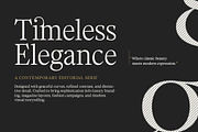 Chipno, a Serif Font by Attract Studio (Thumbnail 5 of 16)