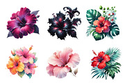Watercolor Hibiscus Flowers Clipart, an Illustration by CreationArt (Thumbnail 2 of 5)