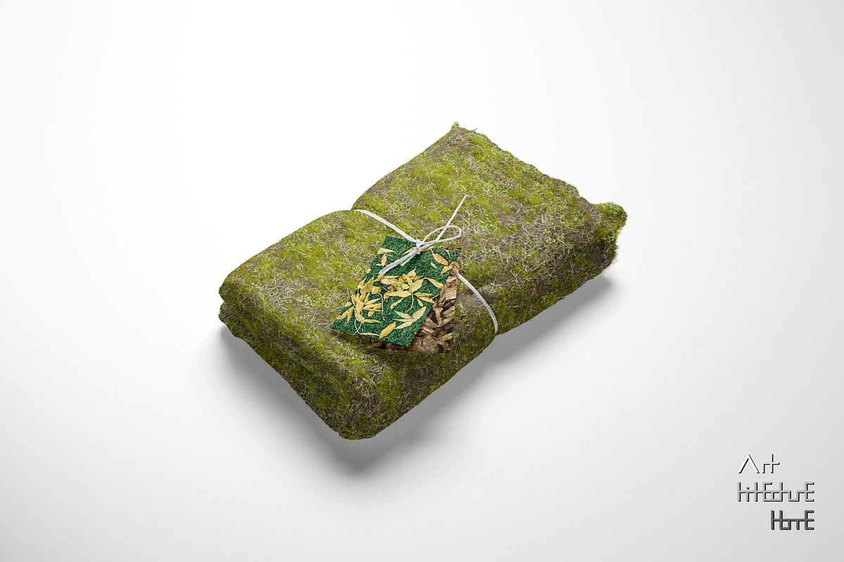 Seamless Ground Textures-Autumn Moss, a Texture Graphic by Arthitecture Home (Photo 9 of 11)