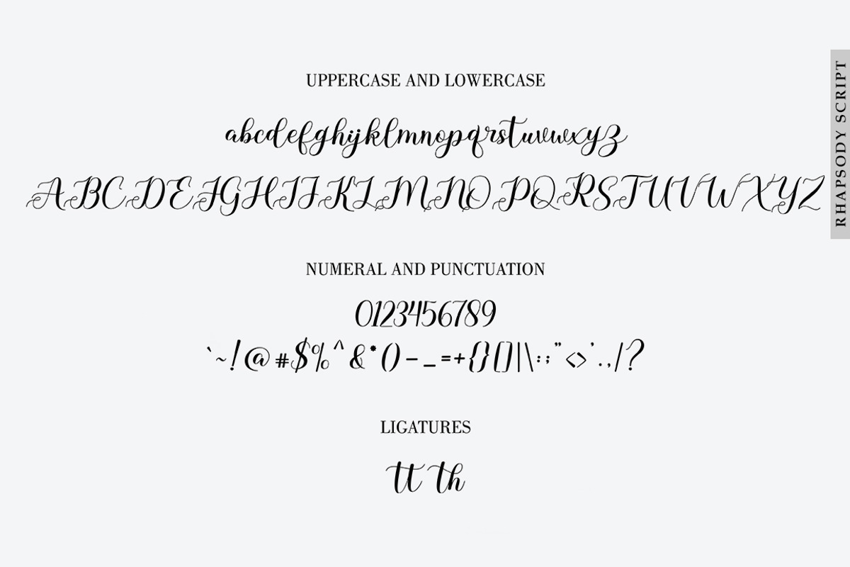 Rhapsody, a Script Font by Rotterlab Studio (Photo 8 of 10)