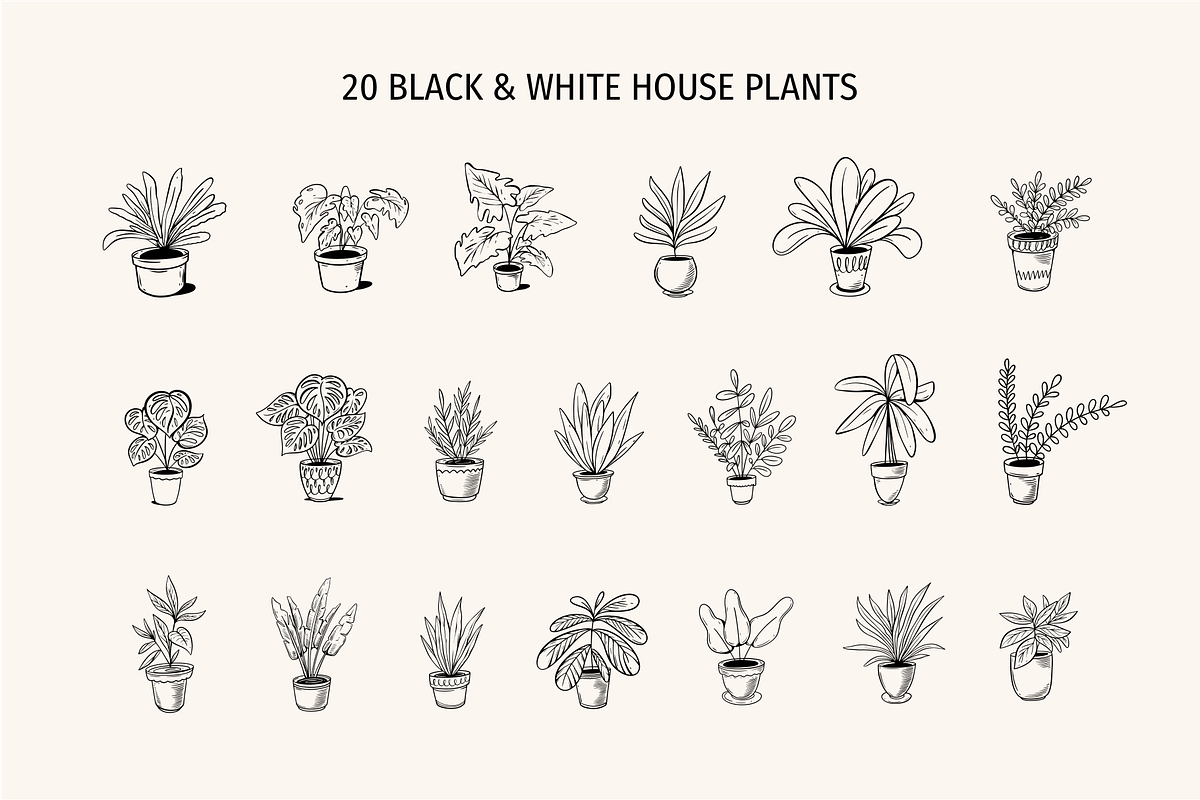 House Plant Doodles & Clipart, an Object Illustration by Oktyabr (Photo 3 of 6)