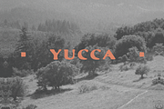 Yucca, a Font by James Coffman Design (Thumbnail 1 of 3)
