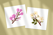 Flowers, wild plants in bloom set, a Decorative Illustration by Good Studio (Thumbnail 3 of 4)