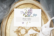 Floral Lilac Watercolor Collection, an Illustration by Grace Noboa Illustrations (Thumbnail 6 of 13)