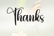 Butterfly | Script Font, a Handwritten Font by Scratchones (Thumbnail 9 of 9)