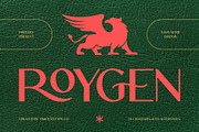 Roygen Elegant Sans Serif Display, a Sans Serif Font by timelesstype.co (Thumbnail 1 of 20)