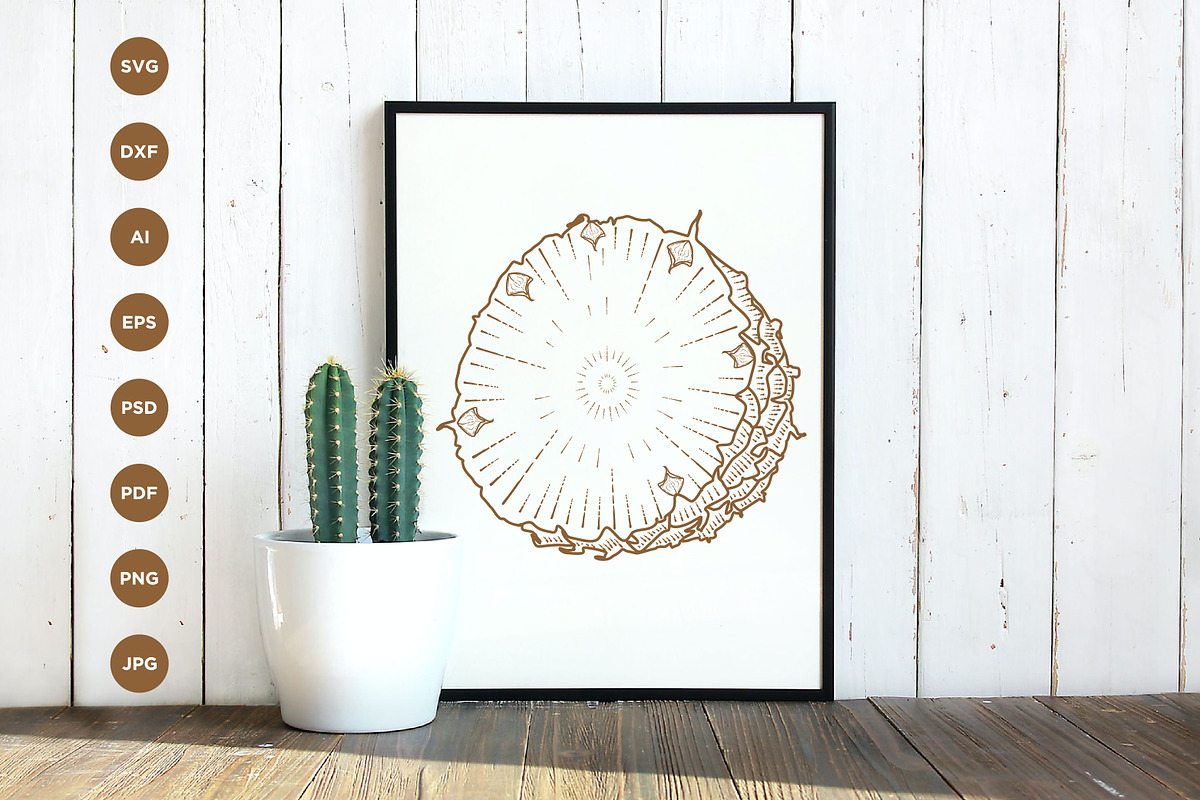 Pineapple engraving style hand drawn, a Food Illustration by vectorartificer (Photo 4 of 6)