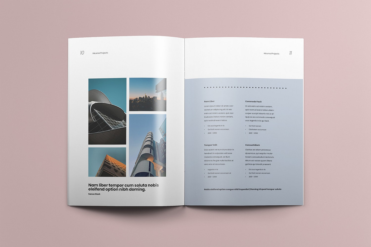 Kaijin.co - Brochure, a Brochure Template by Bokuto (Photo 6 of 11)