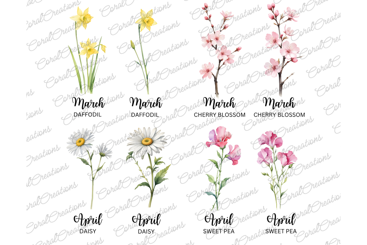 50 Watercolor Birth Month Flowers, a Decorative Illustration by Coral Beauty (Photo 3 of 8)