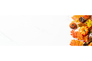 Autumn flat lay background with, a Food & Drink Photo by Nadia-nb