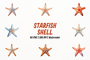 Realistic Starfish and Shell Clipart, an Animal Illustration by New-School-Wave (Thumbnail 1 of 5)